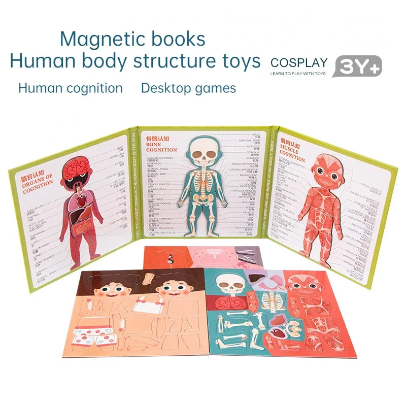 Montessori Children Toys Human Body Cognition Foldable Magnetic Higher Education Books Early Childhood Education Puzzle Learning